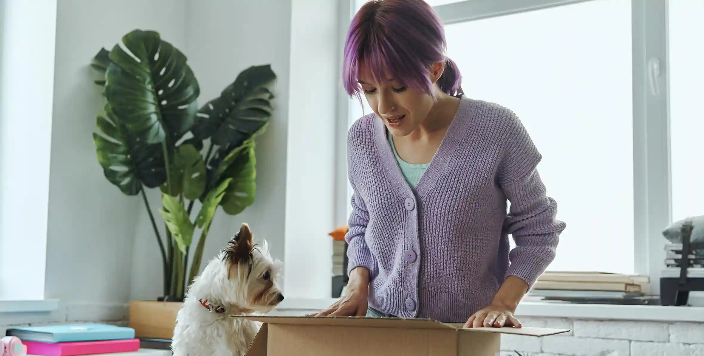 Moving to Florida with Pets – Tips and Resources.jpg1